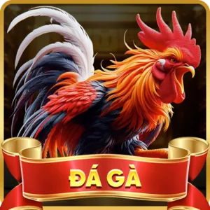 Xổ số New88