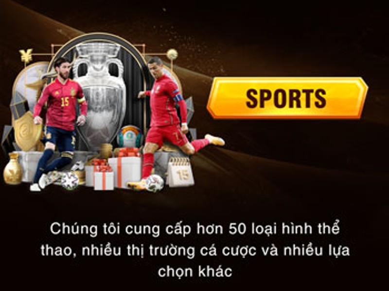Cá cược thể thao New88